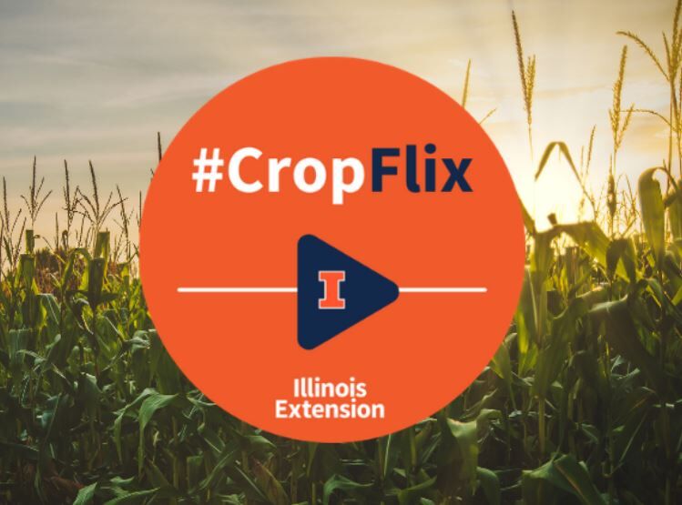 U of I’s CropFlix online crop seminar brings binge-worthy info